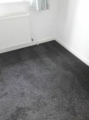 Delta Carpet Indulging in Luxurious Comfort