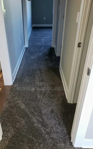 Delta Carpet Indulging in Luxurious Comfort