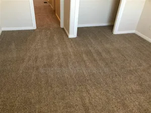 Delta Carpet Simply Stylish