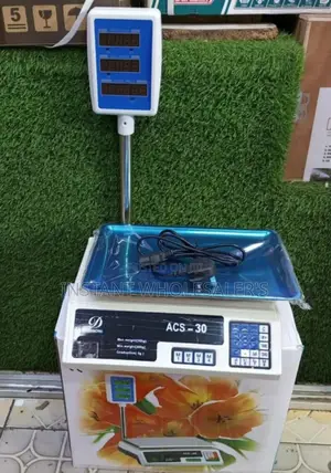 Butchery Electric Computing Scale