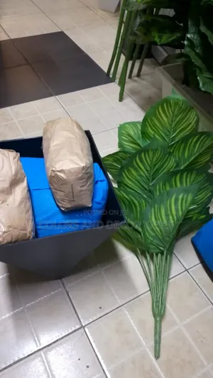Complete Set Plant And Hexagon Vase