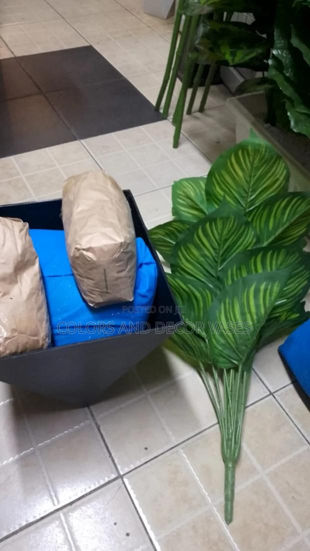 Complete Set Plant And Hexagon Vase - main view