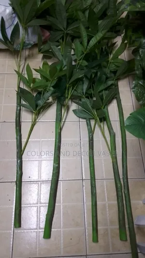 Olive Sticks 1.5m