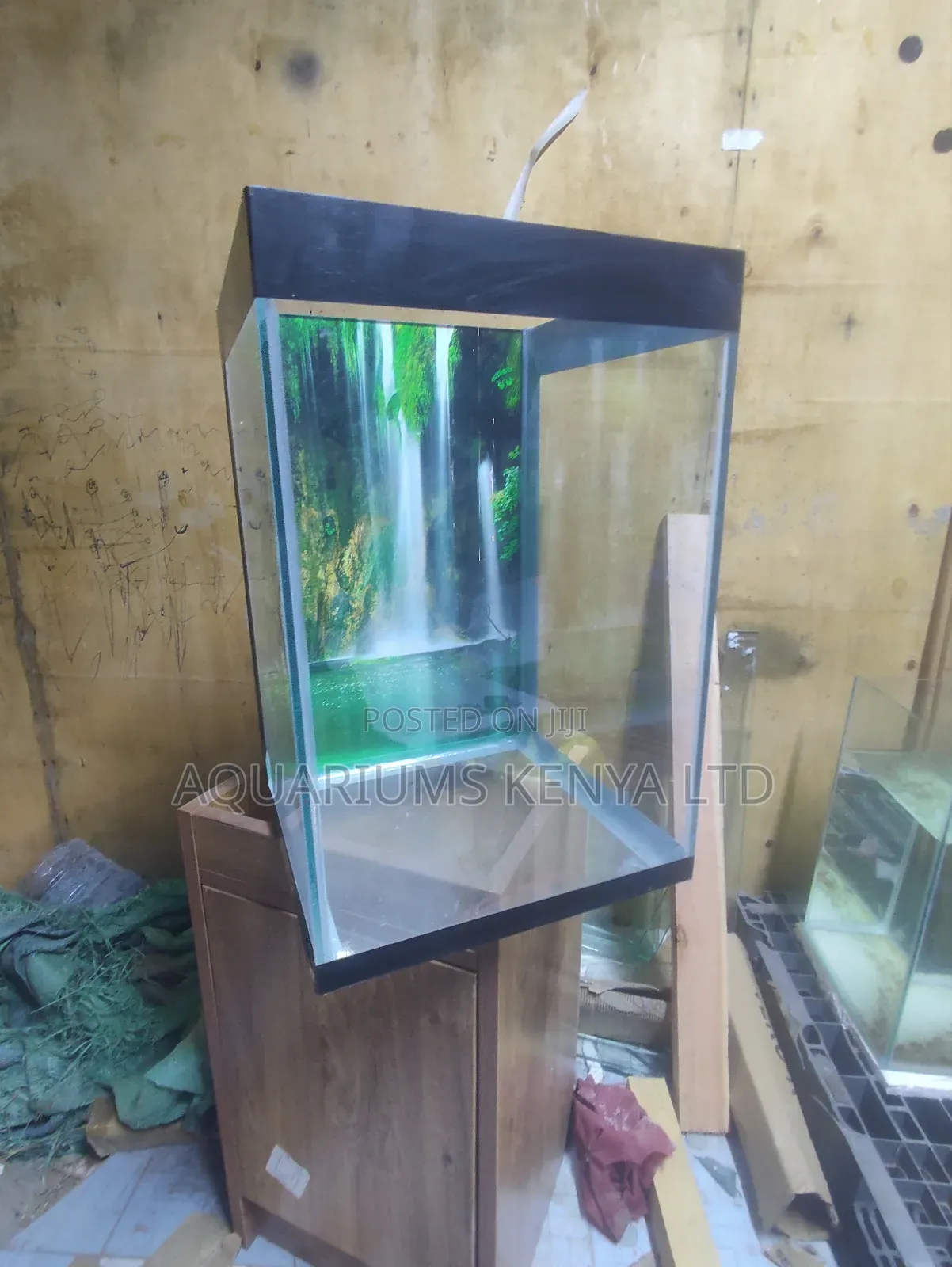 Small Aquarium, Big Aesthetic Impact