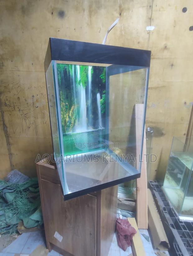 Small Aquarium, Big Aesthetic Impact - main view