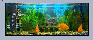 Custom Aquariums Built for You - thumbnail 2