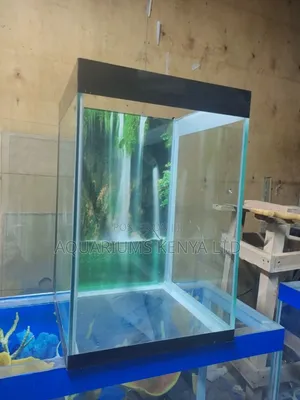 Aquariums for Homes and Businesses