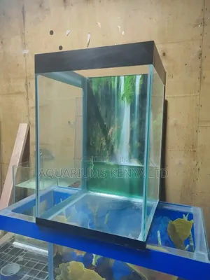 Aquariums That Need Less Maintenance