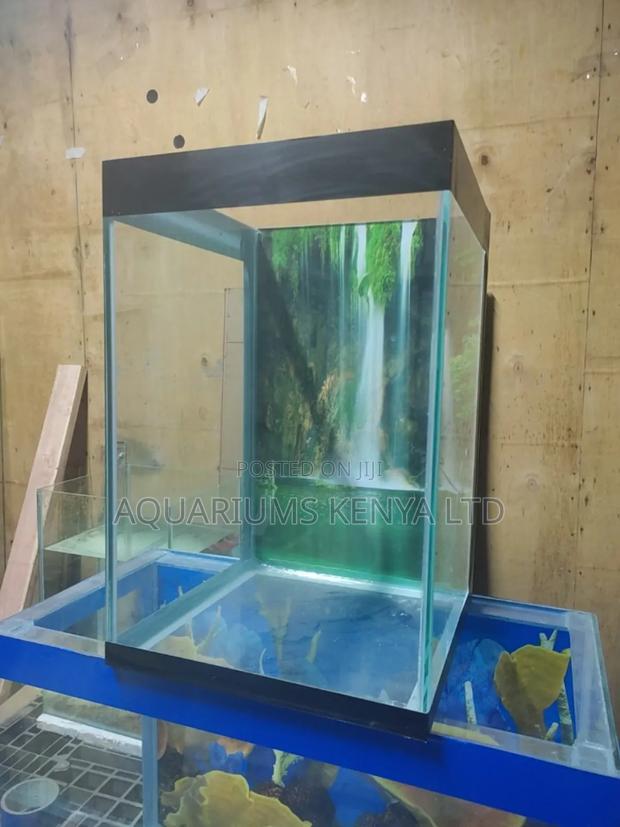 Aquariums That Need Less Maintenance - main view