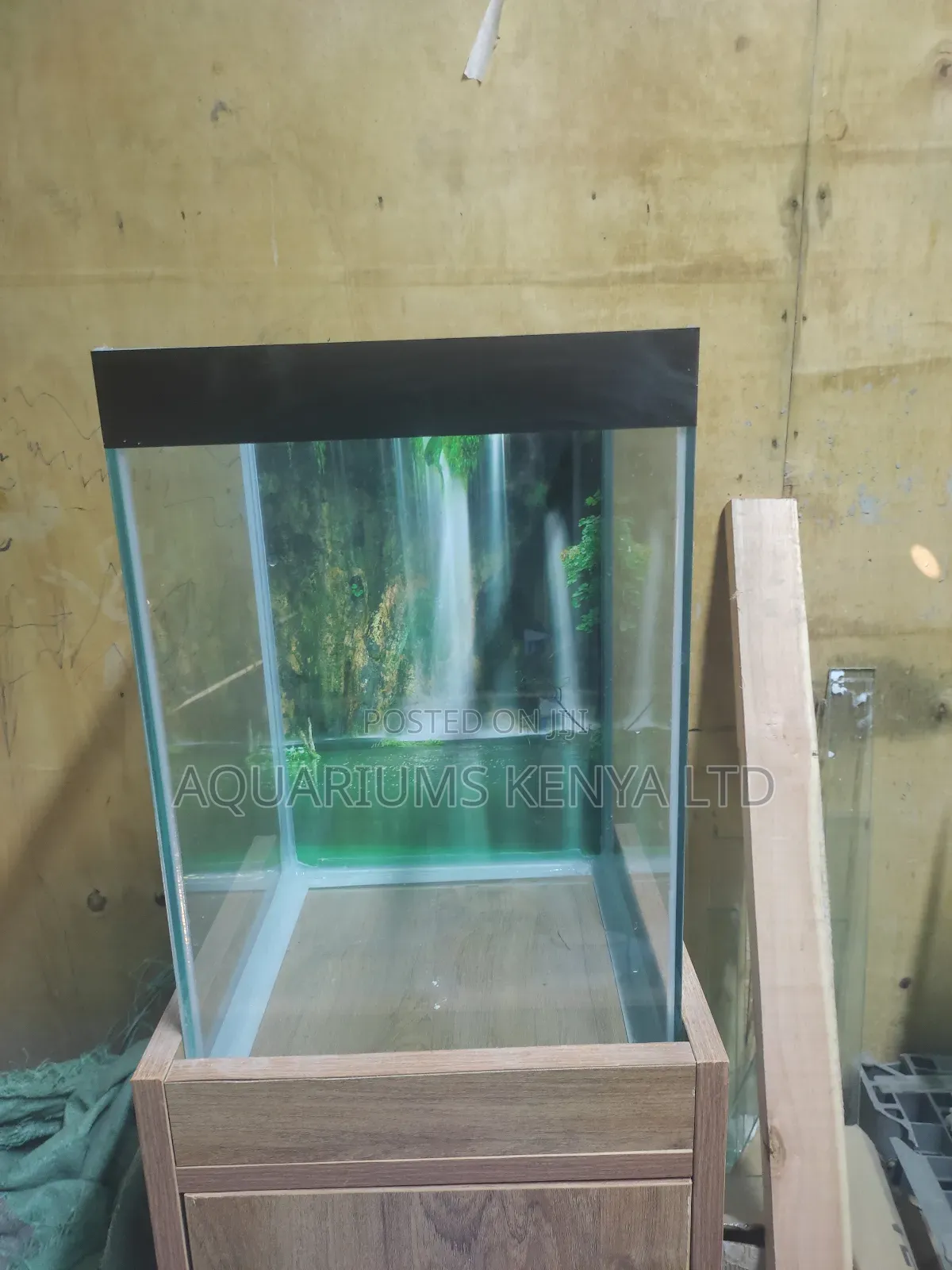 Aquarium: Aquarium 45cm