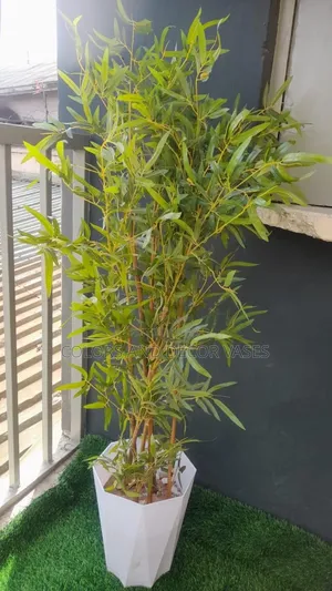 Balcony Bamboo Sticks With Vase and Pebble Stones