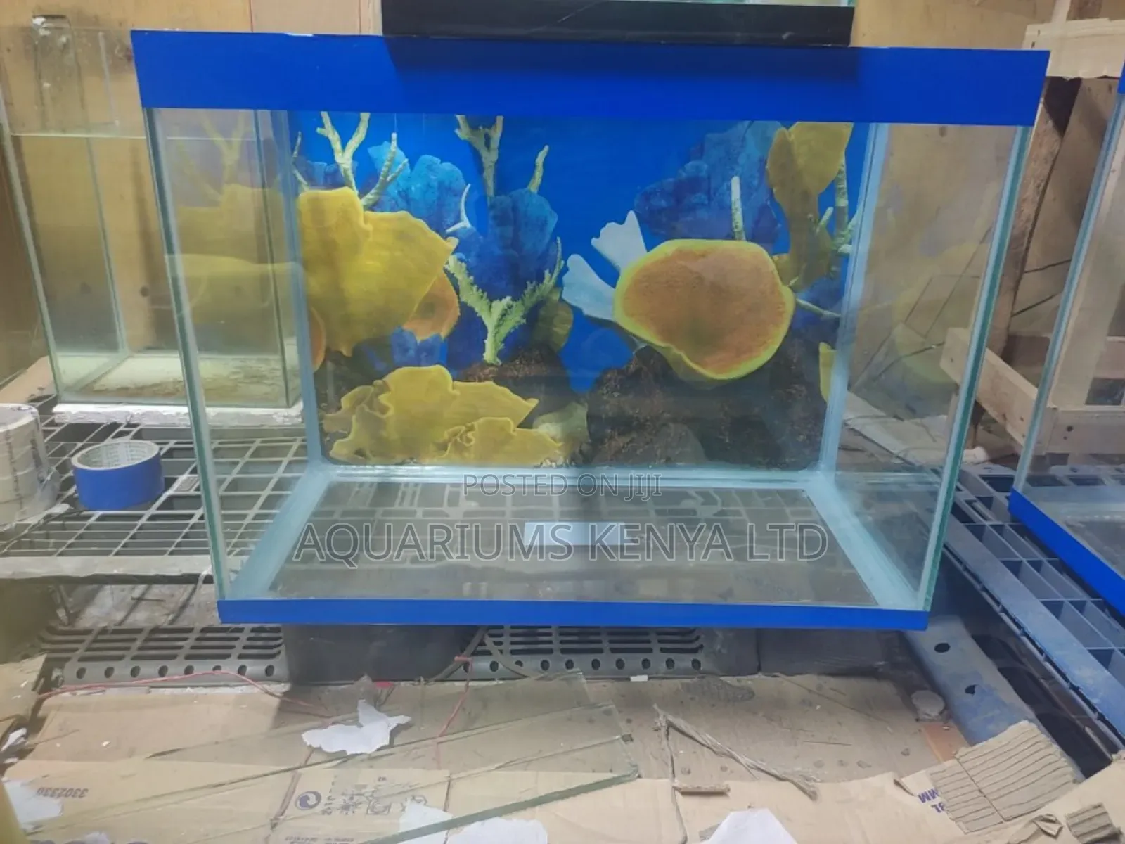 Perfect Aquarium for Busy Lifestyle