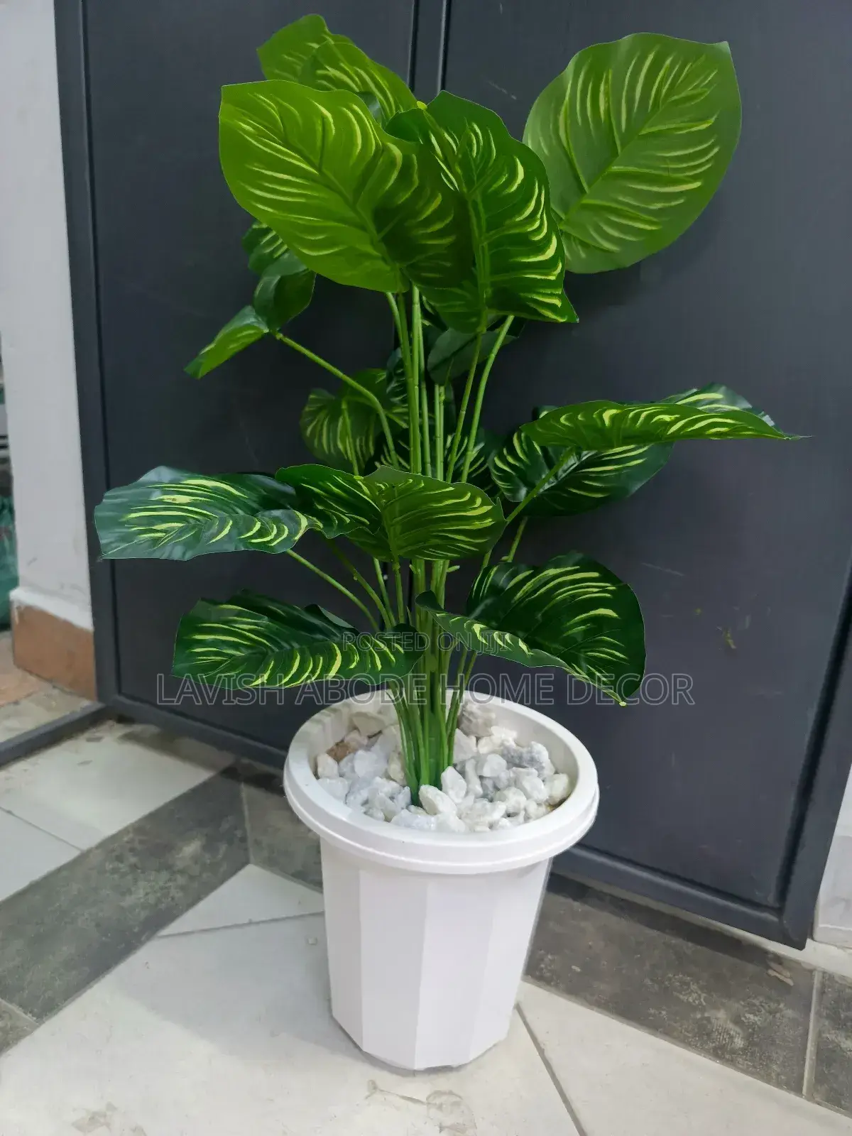 Artificial Zebra Plant