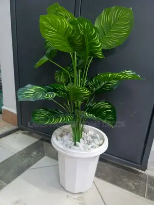 Artificial Zebra Plant