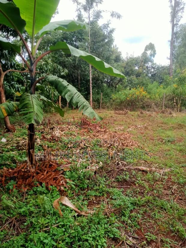 Quarter an Acre on Sale at Makuyu-Kamahuha - thumbnail 2