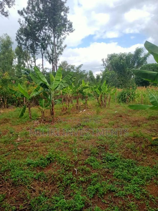 Quarter an Acre on Sale at Makuyu-Kamahuha - thumbnail 3