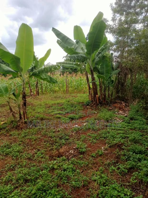 Quarter an Acre on Sale at Makuyu-Kamahuha - thumbnail 4