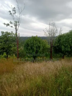 An Acre Land Is on Sale at Kahuho -Sabasaba