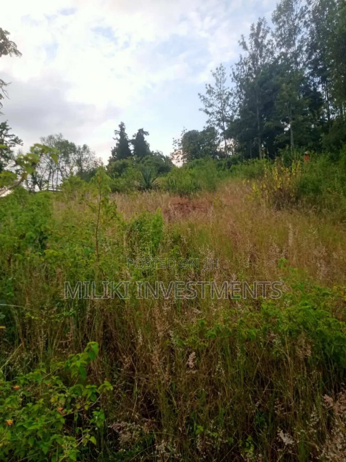 An Acre Land Is on Sale at Kahuho -Sabasaba