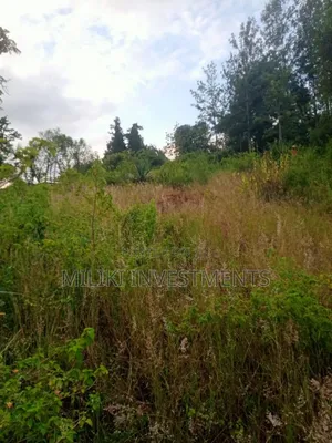 An Acre Land Is on Sale at Kahuho -Sabasaba