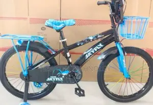*Skyfly BMX Size 20