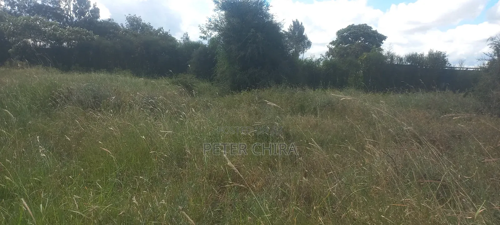 50 By100 Prime Plot for Sale in Isinya