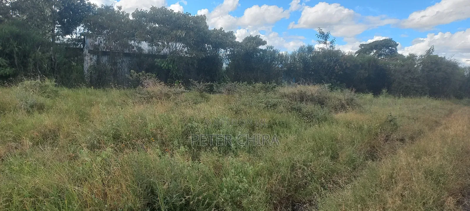 50 By100 Prime Plot for Sale in Isinya