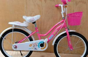 Sturdy 20-Inch Bicycle - main view