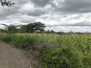 Quarter Acre Plot in Ngong, Matasia Along Merisho Road