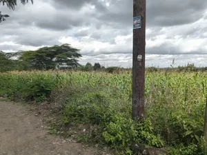 Quarter Acre Plot in Ngong, Matasia Along Merisho Road
