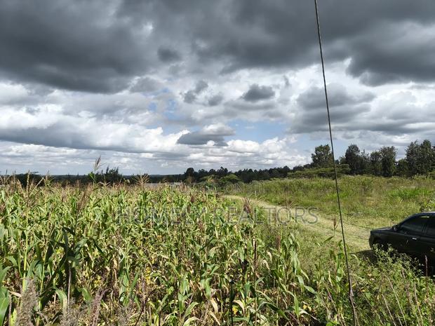 Quarter Acre Plot in Ngong, Matasia Along Merisho Road - thumbnail 4