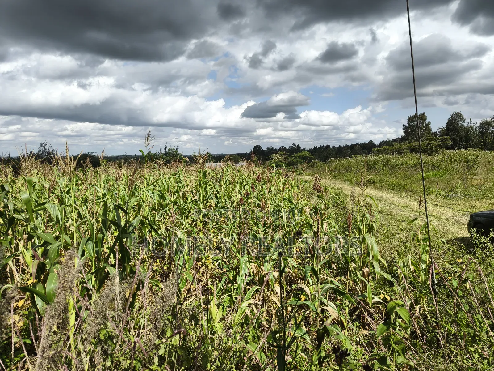 Quarter Acre Plot in Ngong, Matasia Along Merisho Road