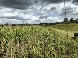 Quarter Acre Plot in Ngong, Matasia Along Merisho Road