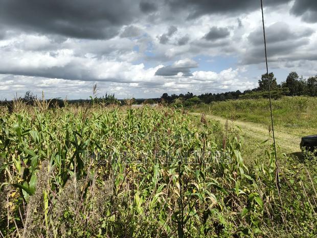 Quarter Acre Plot in Ngong, Matasia Along Merisho Road - thumbnail 5