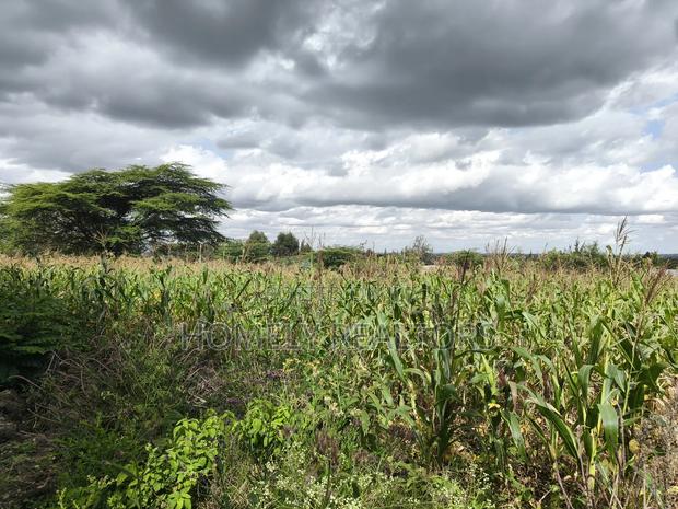 Eighth Acre Plot in Ngong, Matasia, Merisho Road Near Tarmac