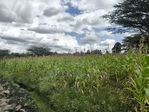 Half Acre Plot in Ngong Matasia Along Merisho Rd Near Tarmac