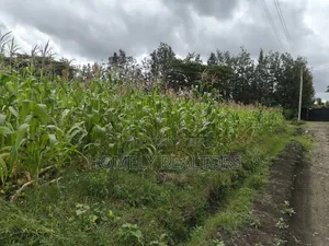 Half Acre Plot in Ngong Matasia Along Merisho Rd Near Tarmac