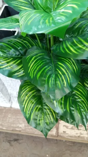 Stripped Leaves Plant
