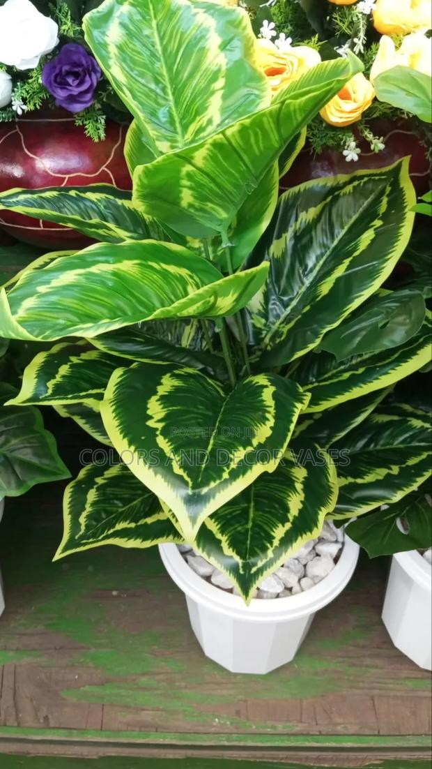 Pretty Green 80cm Plant - main view