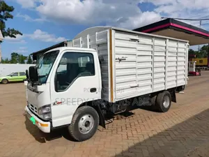 Canter Truck Accessible for Deliveries