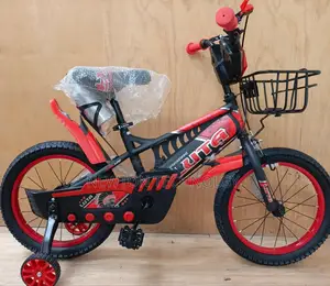 "Durable 16-Inch Bike