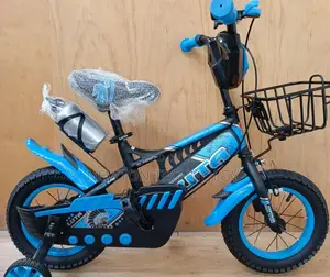 Affordable 16-Inch Bike