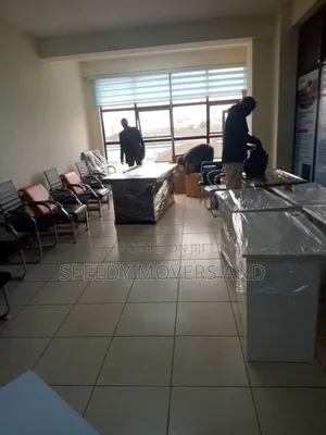 Professional Movers. House and Office Moves