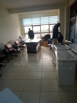 Professional Movers. House and Office Moves