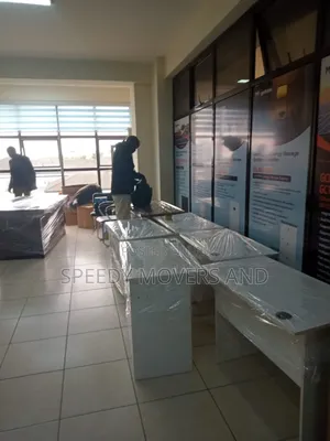 Professional Movers. House and Office Moves