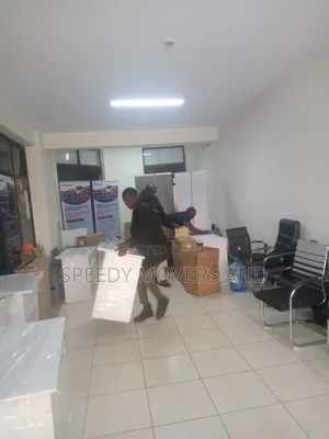 Professional Movers. House and Office Moves