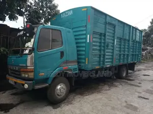 Professional Movers. House and Office Moves