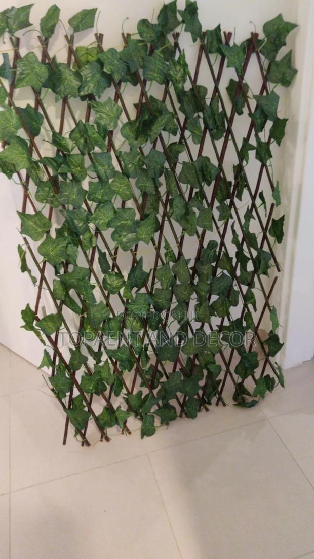 Best Extended Privacy Fence for Your Home - main view