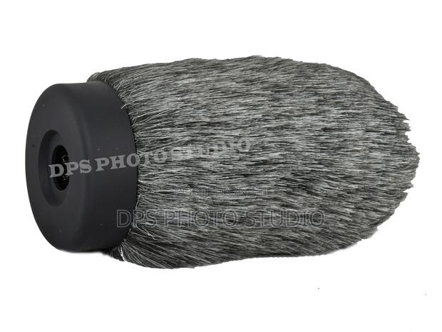 Deadcat Windshield - main view