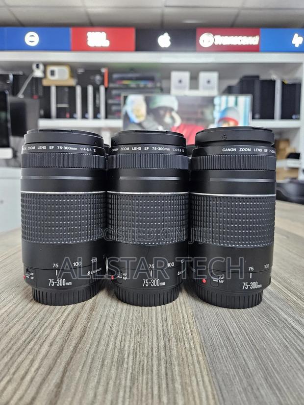 Canon Ef 75-300mm Zoom. Lens